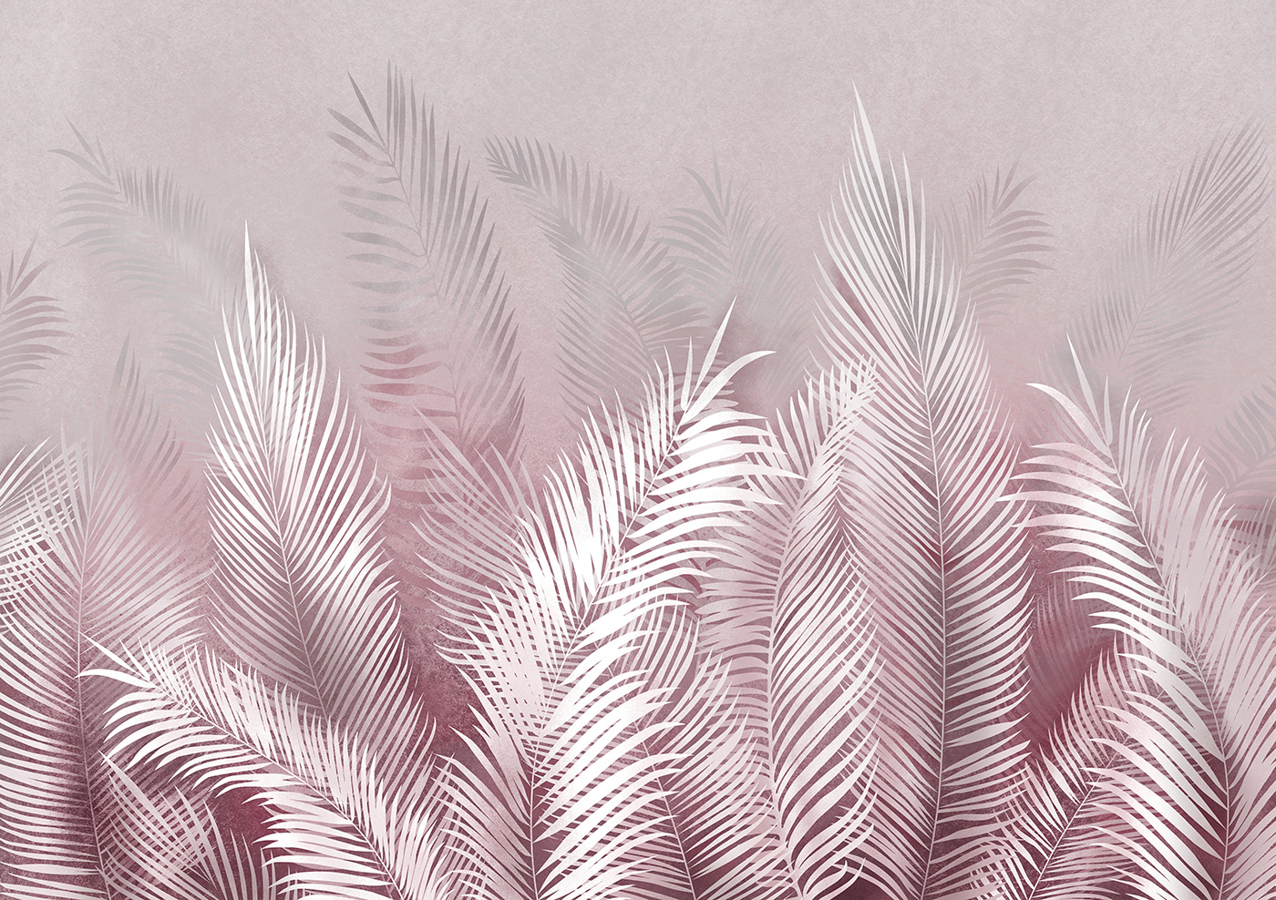 A white feathers on a pink background A white feathers on a pink background