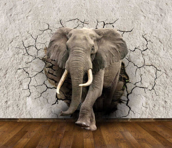 Un elefante atravesando un muro Un elefante atravesando un muro