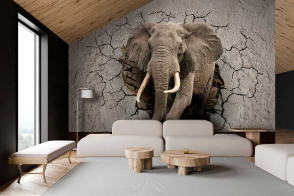 Un elefante atravesando un muro Un elefante atravesando un muro