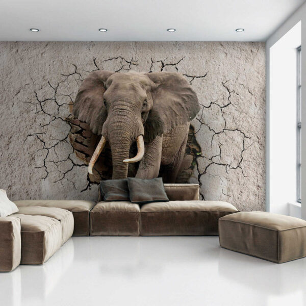 Un elefante atravesando un muro Un elefante atravesando un muro