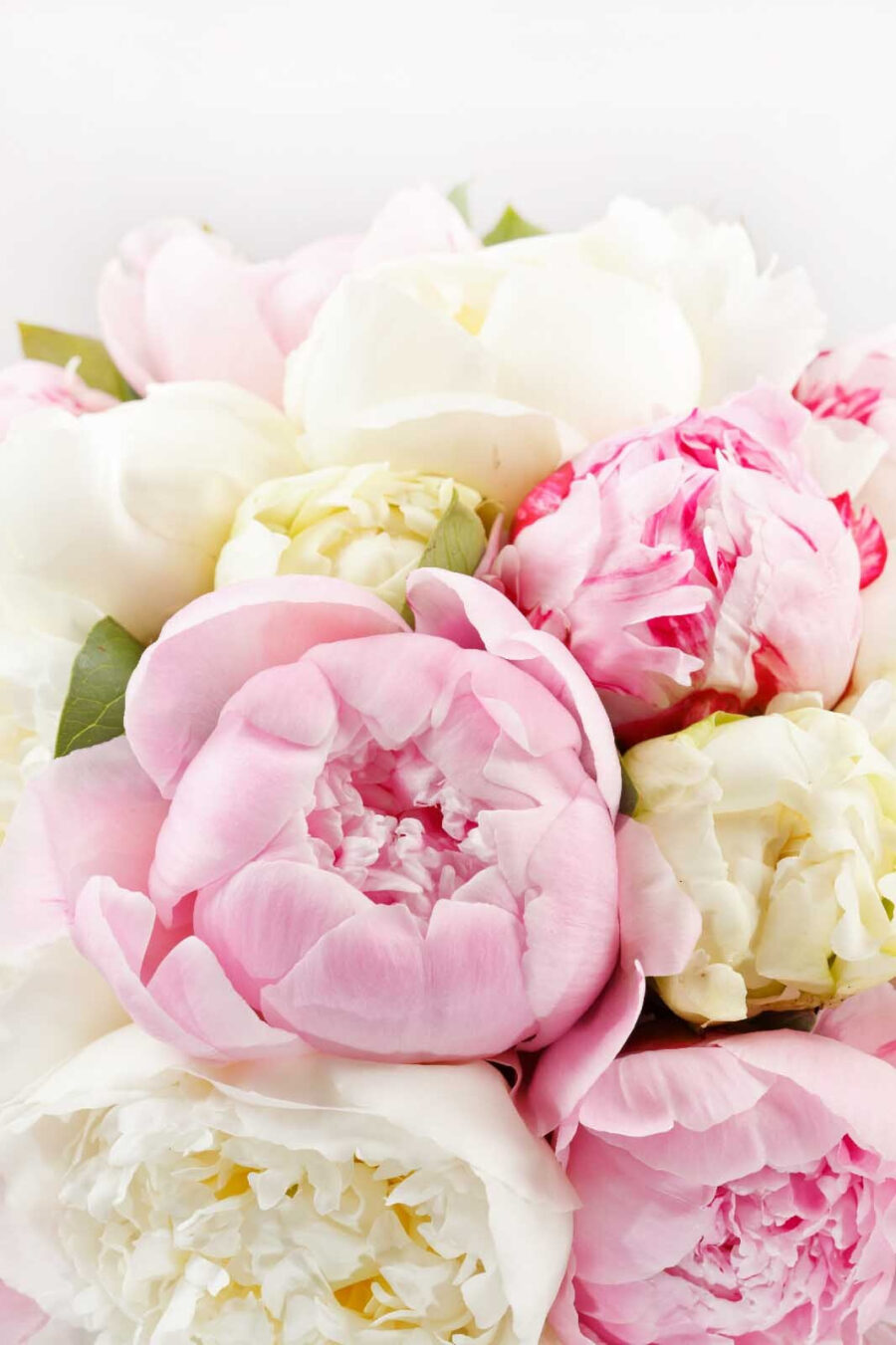 Ramo de flores rosas y blancas