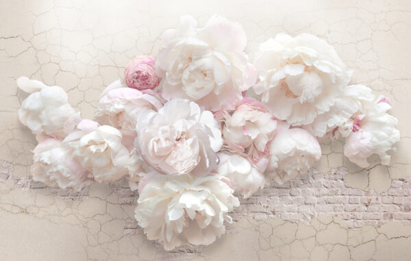 Grupo de flores blancas Grupo de flores blancas