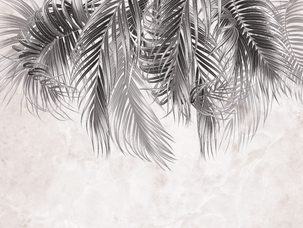 Elegantes hojas de palmera sobre fondo claro Elegantes hojas de palmera sobre fondo claro
