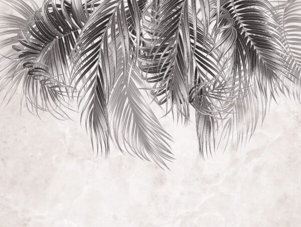 Elegantes hojas de palmera sobre fondo claro Elegantes hojas de palmera sobre fondo claro