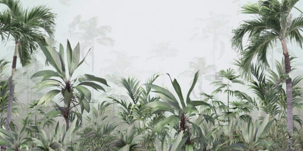 Grupo de plantas en un bosque con niebla Grupo de plantas en un bosque con niebla