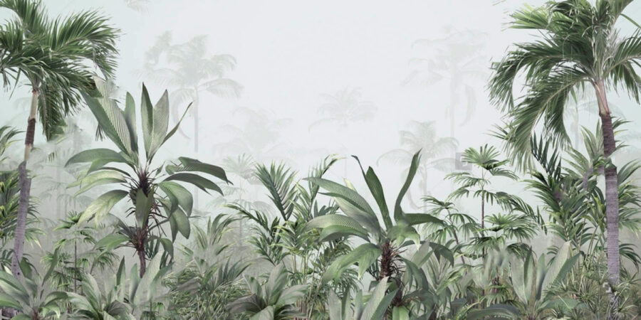 Grupo de plantas en un bosque con niebla