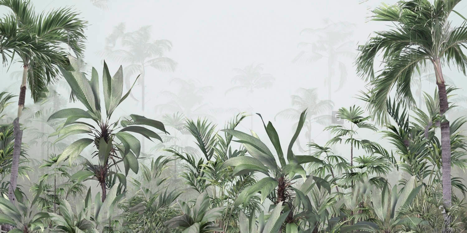 Group of plants in a foggy forest