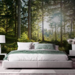 Fotomurales El sol brilla entre los árboles