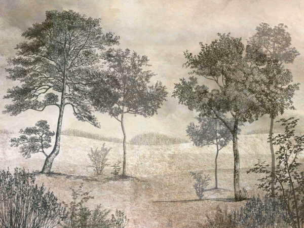 Dibujo de árboles en un campo Dibujo de árboles en un campo