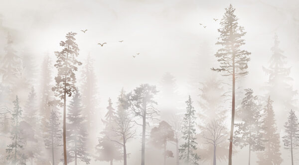Un grupo de árboles en un bosque con niebla Un grupo de árboles en un bosque con niebla