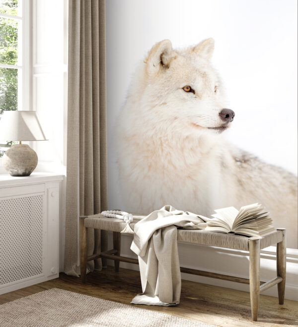 Un lobo blanco en la nieve Un lobo blanco en la nieve