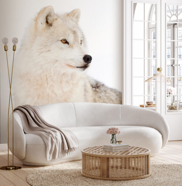 Un lobo blanco en la nieve Un lobo blanco en la nieve
