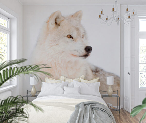 Un lobo blanco en la nieve Un lobo blanco en la nieve