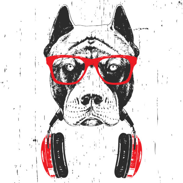 Un perro con gafas y auriculares Un perro con gafas y auriculares