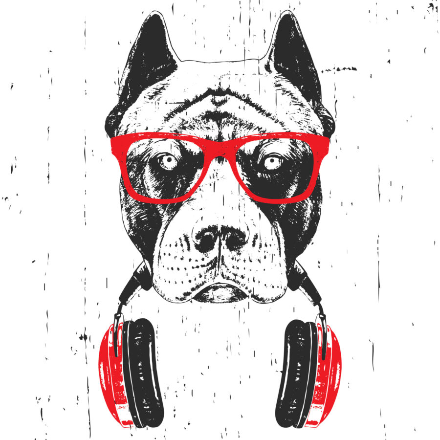 Un perro con gafas y auriculares Un perro con gafas y auriculares