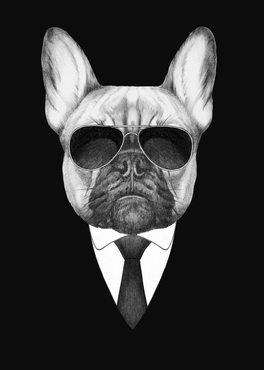 Un perro con gafas de sol y traje Un perro con gafas de sol y traje