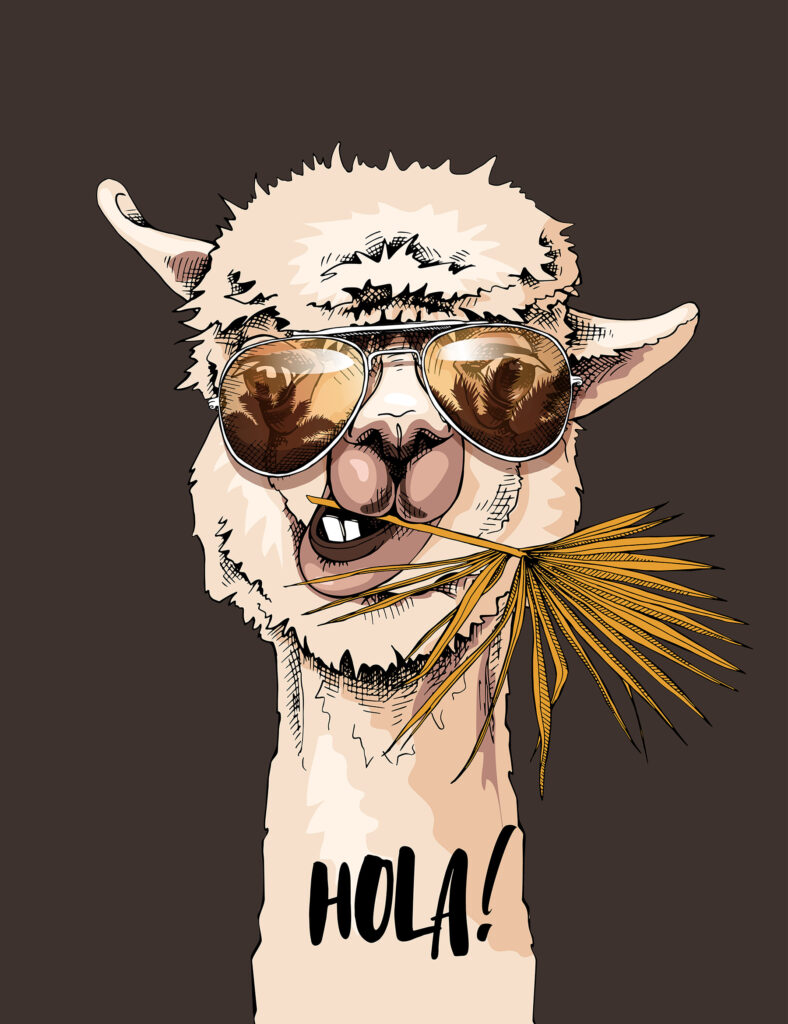 Una llama con gafas de sol y comiendo una hoja Una llama con gafas de sol y comiendo una hoja