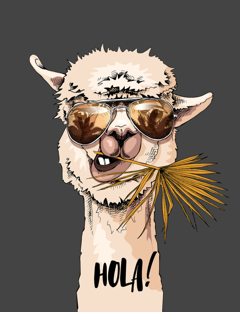 Una llama con gafas de sol y comiendo una hoja Una llama con gafas de sol y comiendo una hoja