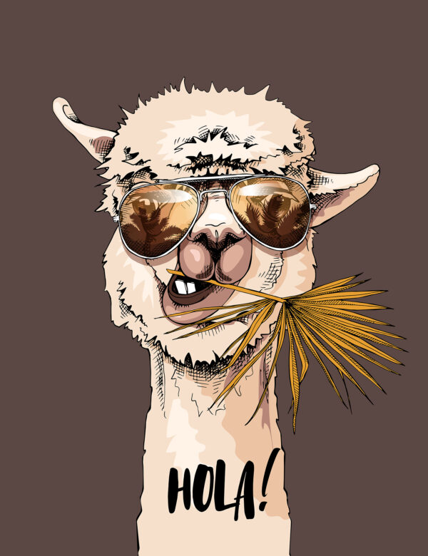 Una llama con gafas de sol y comiendo una hoja de palmera Una llama con gafas de sol y comiendo una hoja de palmera