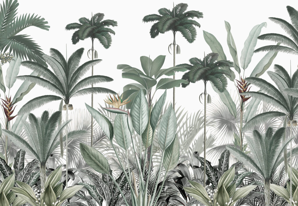 Un grupo de plantas con flores Un grupo de plantas con flores
