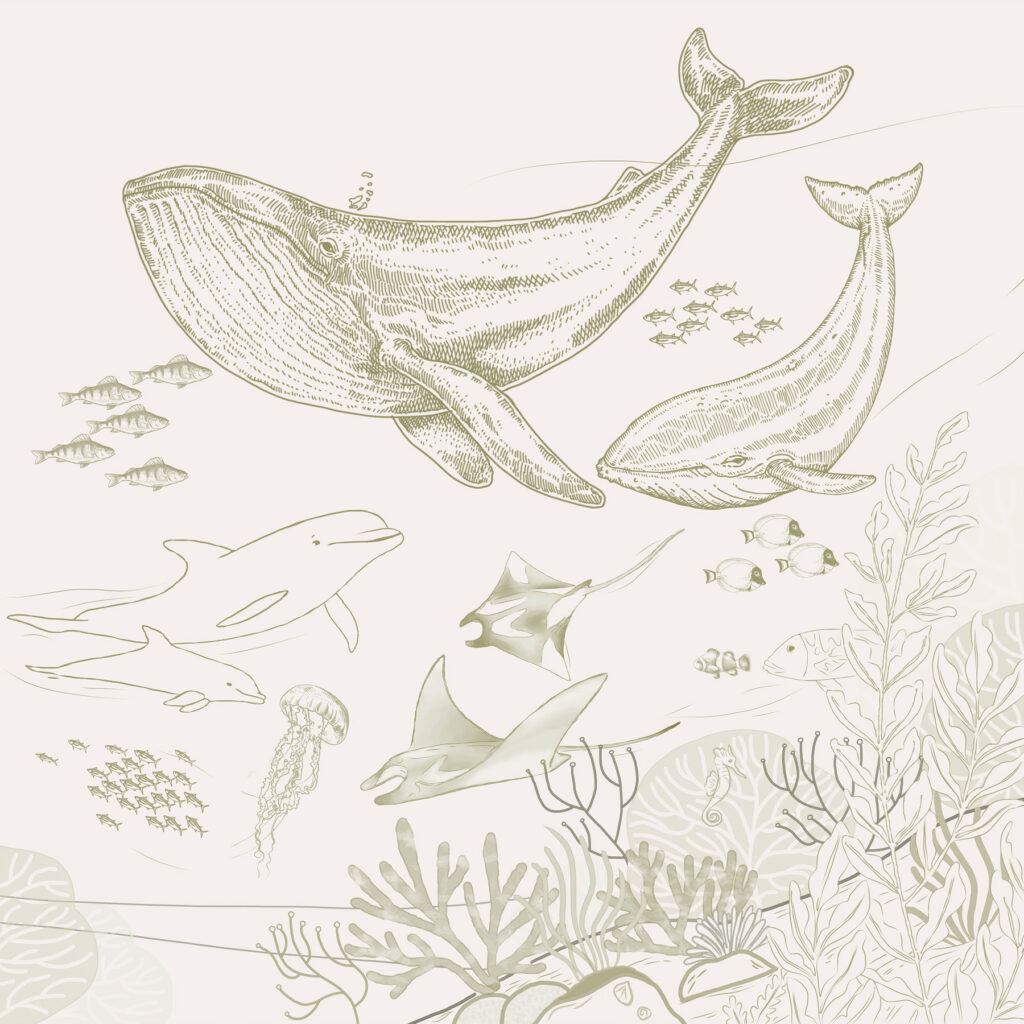 Un dibujo de una ballena y una ballena Un dibujo de una ballena y una ballena