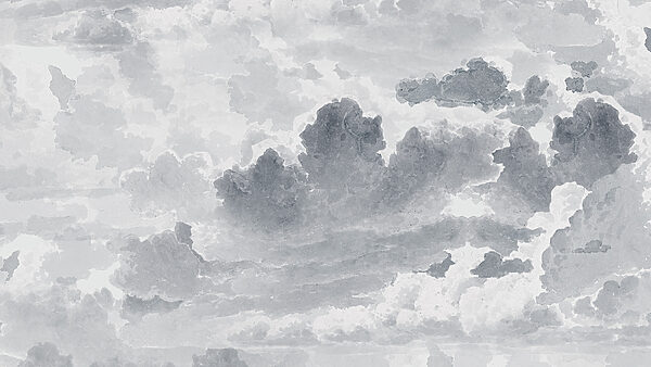 Un cielo gris y blanco Un cielo gris y blanco