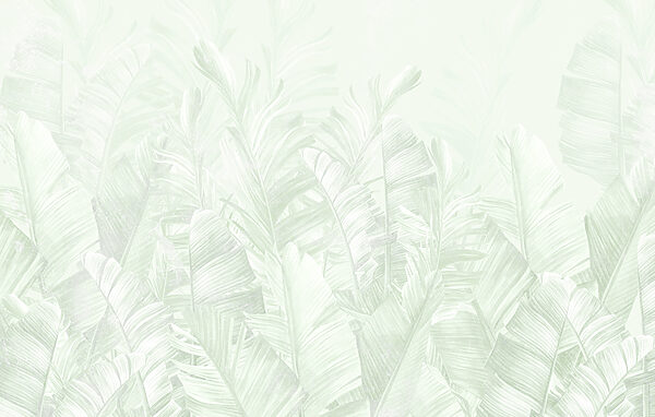 Soft green leaves in gentle layers