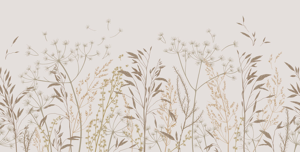Un primer plano de las plantas Un primer plano de las plantas