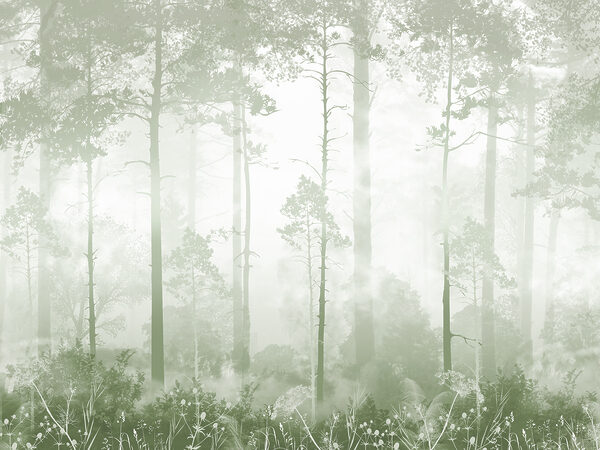 A foggy forest with tall trees