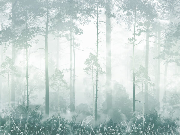 Un bosque brumoso con árboles altos Un bosque brumoso con árboles altos