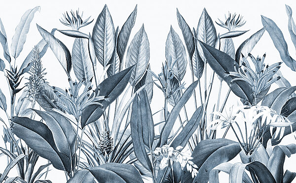 Follaje tropical en tonos monocromos Follaje tropical en tonos monocromos