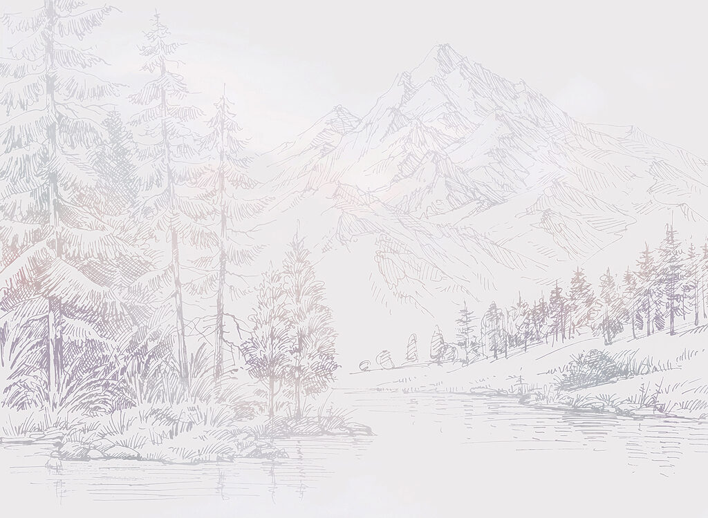 A river with trees and mountains in the background