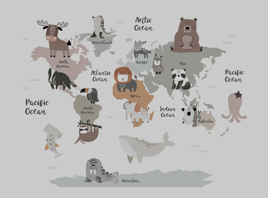 Un mapa de animales con texto