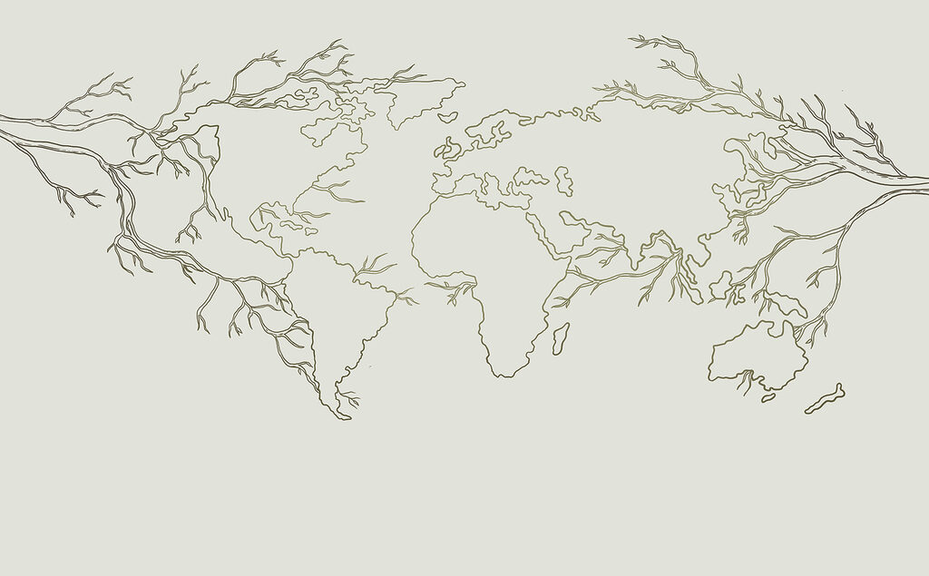 Un mapa del mundo Un mapa del mundo