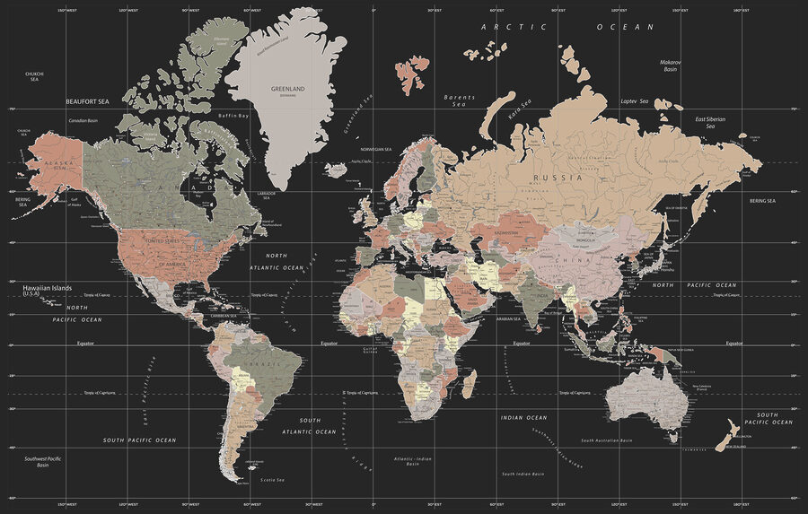 Fotomurales Un mapa del mundo - Imagen 4