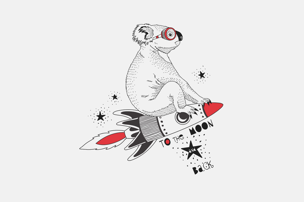 Un koala en un cohete Un koala en un cohete