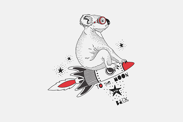 Un koala en un cohete Un koala en un cohete
