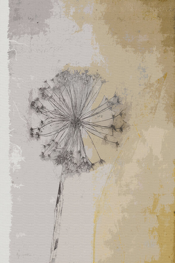 A close up of a flower