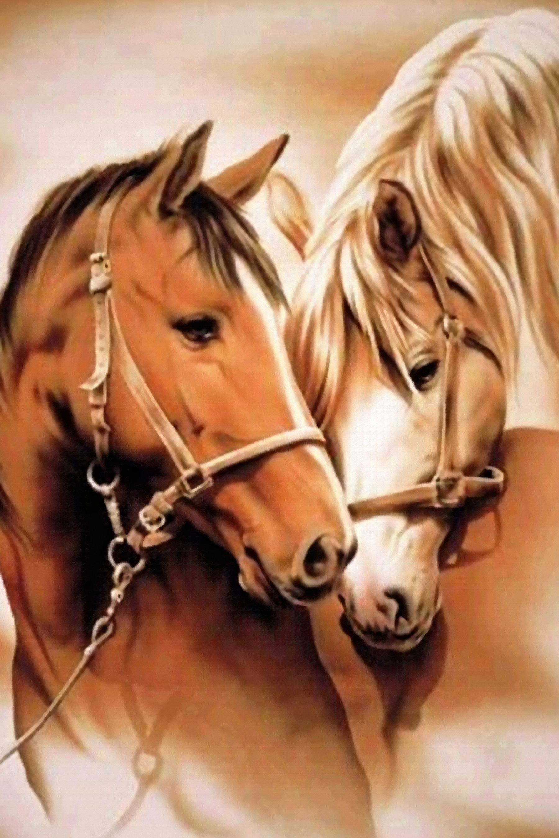 A close up of two horses