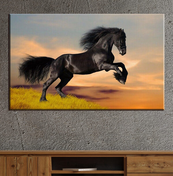 Cuadros Un caballo negro saltando en el aire (SKU: s09470) Cuadros Cuadros Un caballo negro saltando en el aire (SKU: s09470)