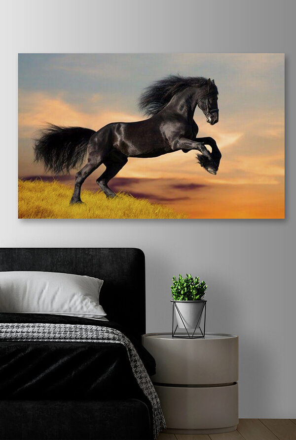 A black horse jumping in the air