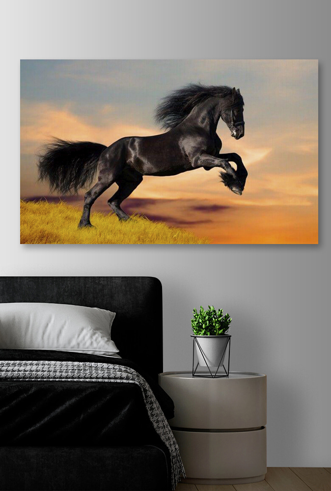 A black horse jumping in the air