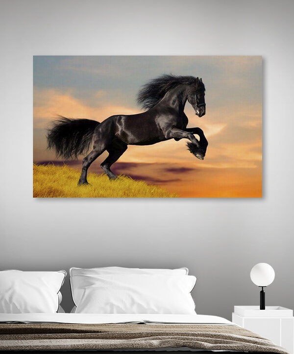 A black horse jumping in the air