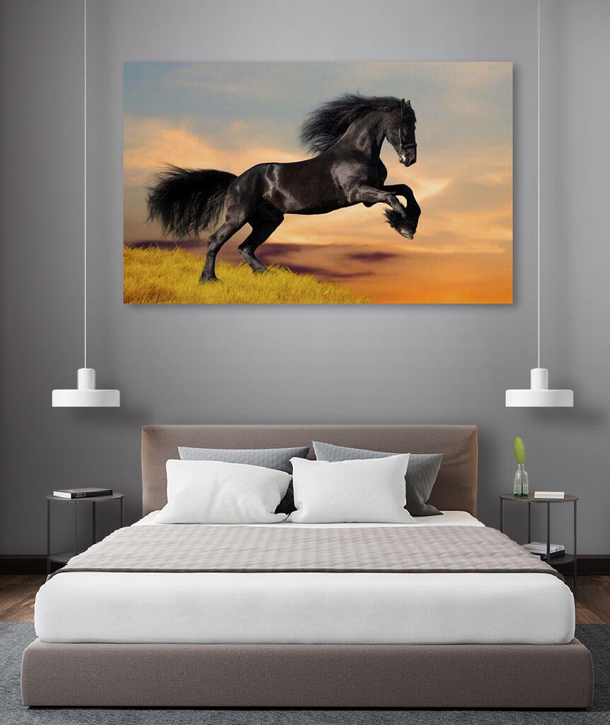 A black horse jumping in the air