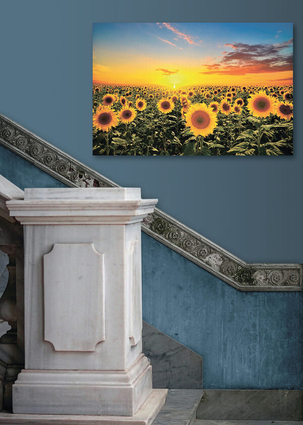 Cuadros Un campo de girasoles y una puesta de sol (SKU: s15146) Cuadros Cuadros Un campo de girasoles y una puesta de sol (SKU: s15146)