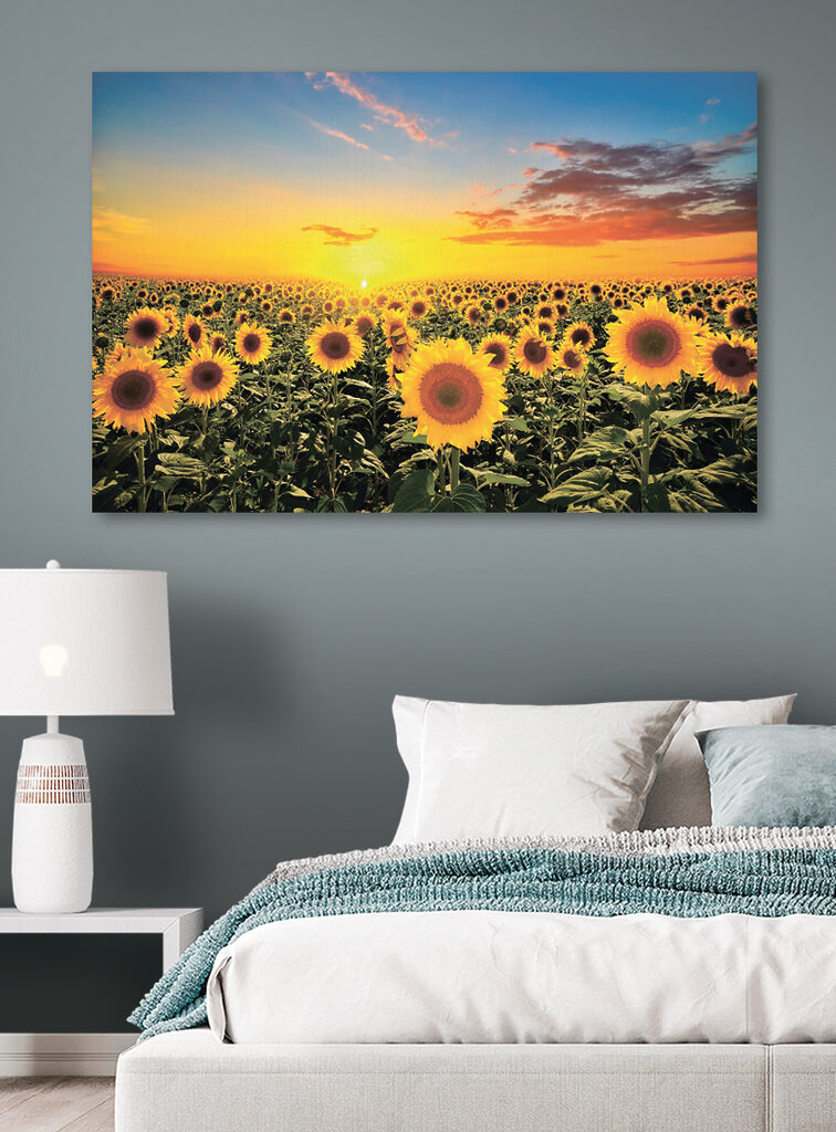 A field of sunflowers and a sunset A field of sunflowers and a sunset