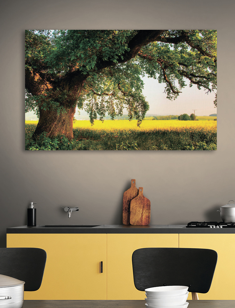 A tree in a field