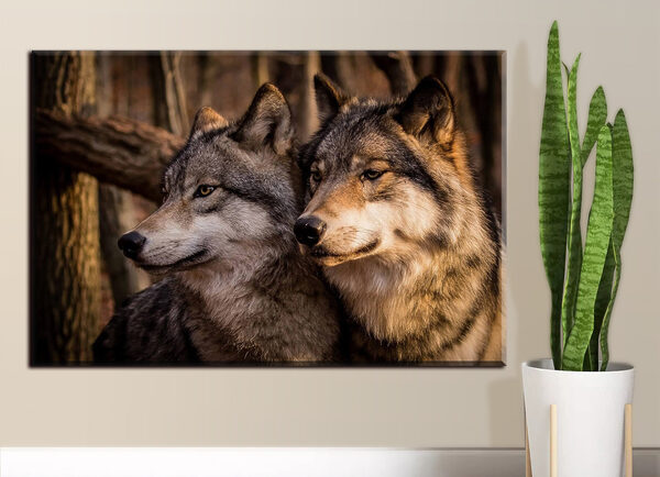 Cuadros Una pareja de lobos en el bosque