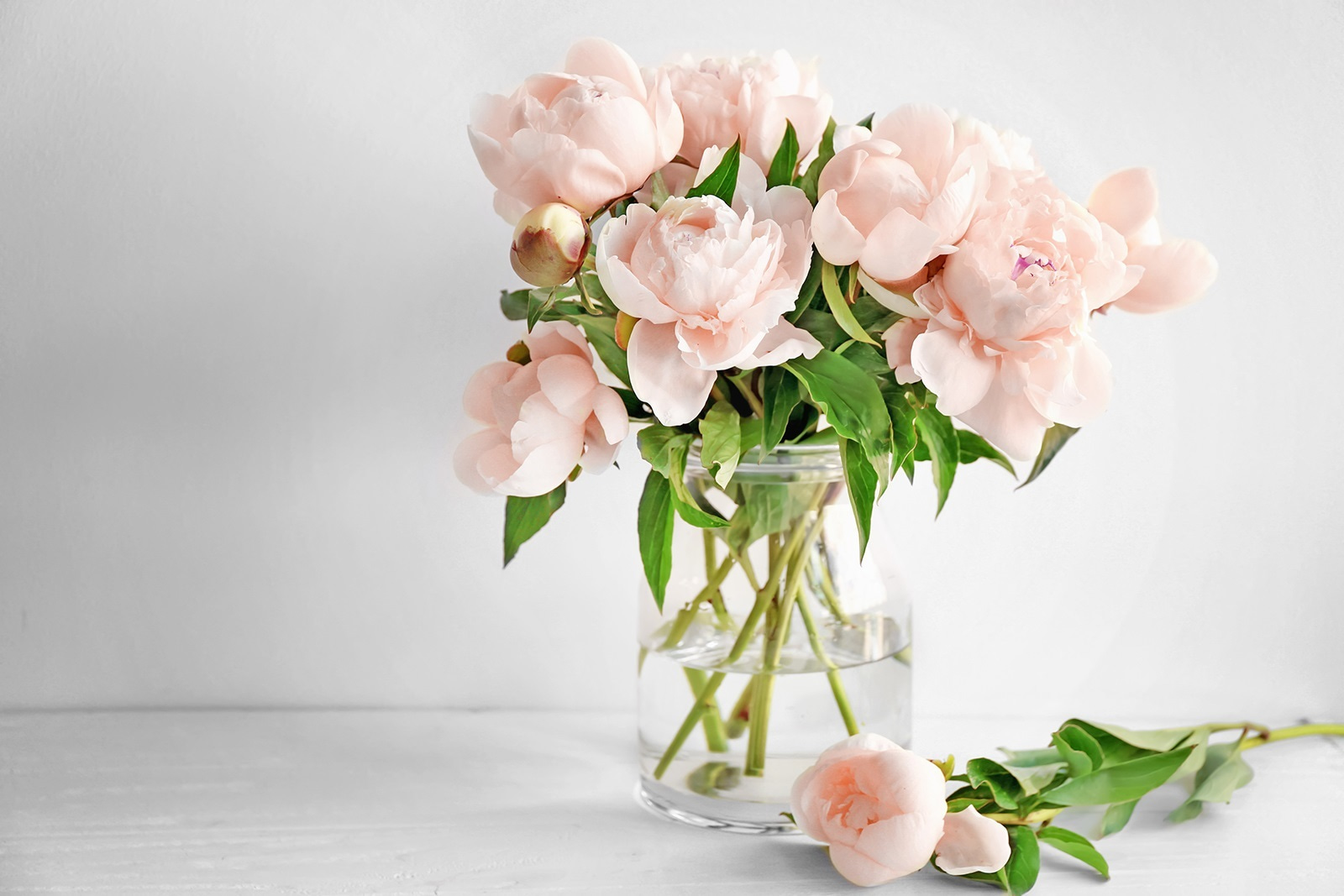 A vase of pink flowers