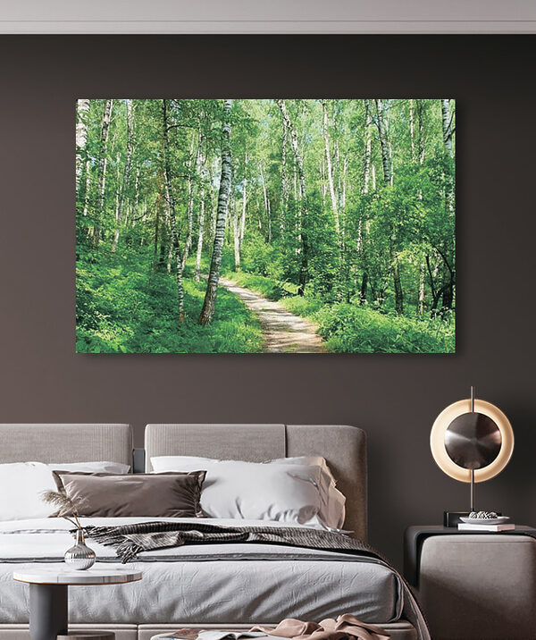 Cuadros Un sendero por el bosque